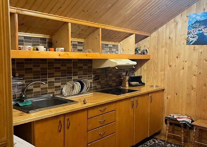 بيت شباب Farmstead Lisova